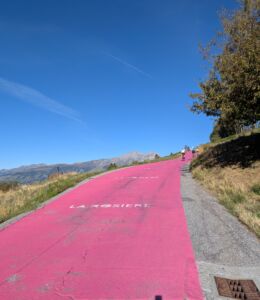 Route rose